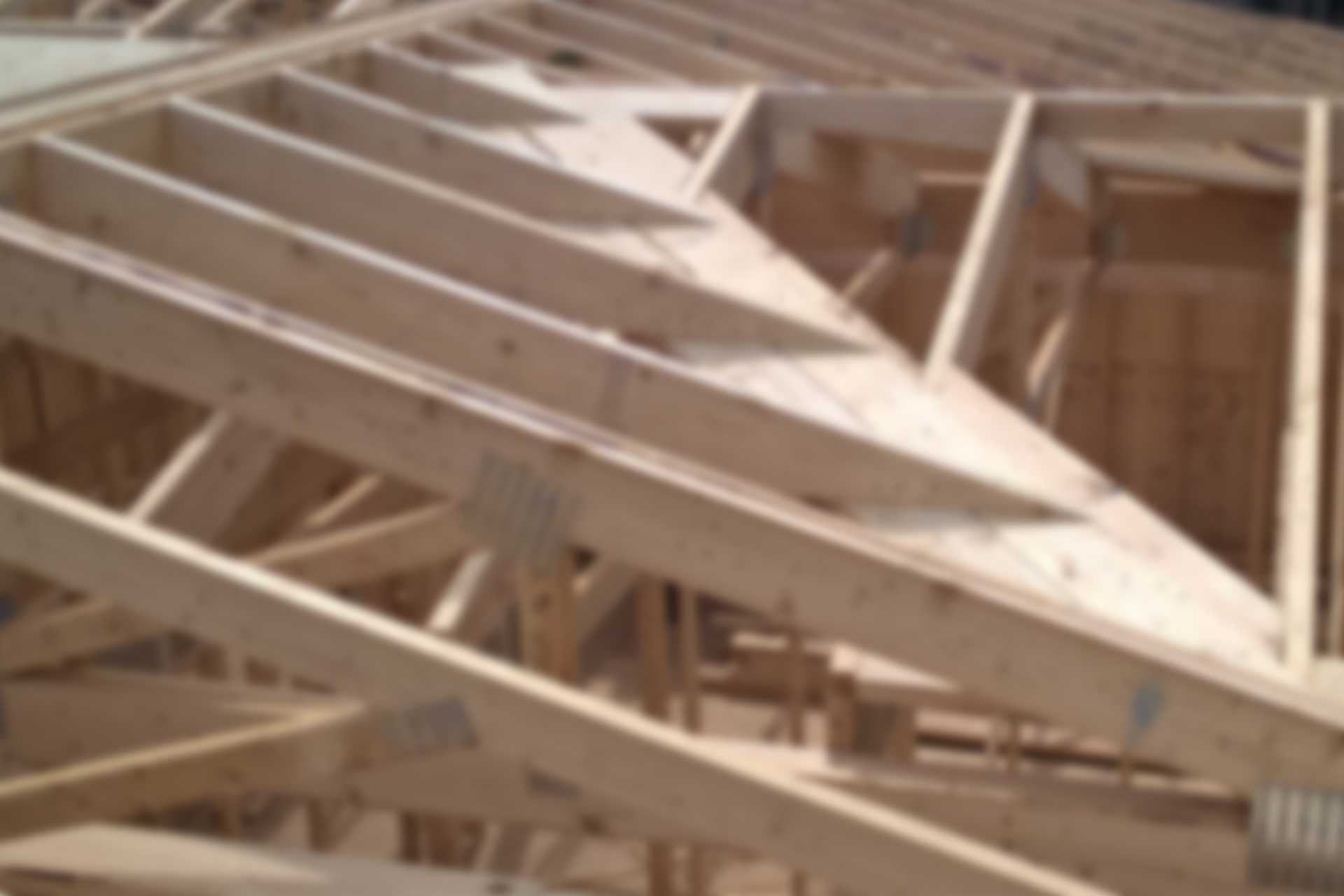 Rough carpentry structure by Marchi Carpentry